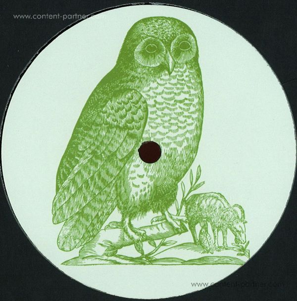 unknown - owl 2