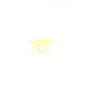 upsammy - Wild Chamber (Back)