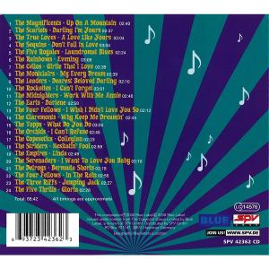 various - essential doo wop-hesitatin' fool (Back)