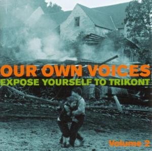 various - our own voices 2