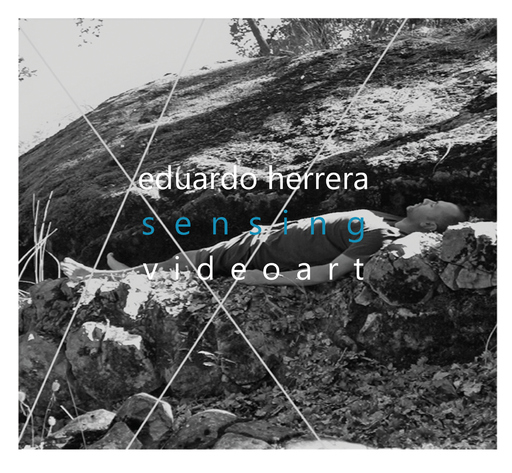 Sensing Videoart