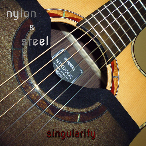 Nylon & Steel - Nylon & Steel - Singularity