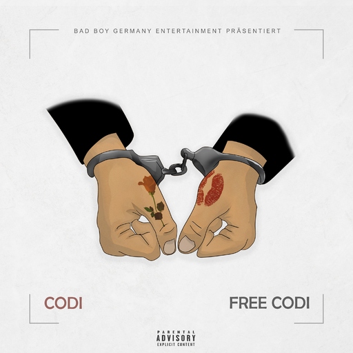 Free Codi