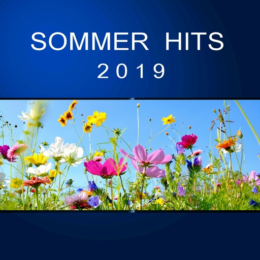 Various Artist - Sommer Hits 2019