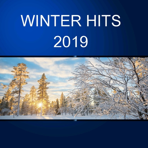 Various Artist - Winter Hits 2019