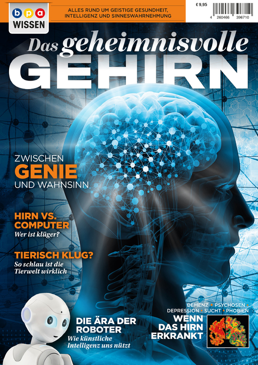 Das geheimnisvolle GEHIRN