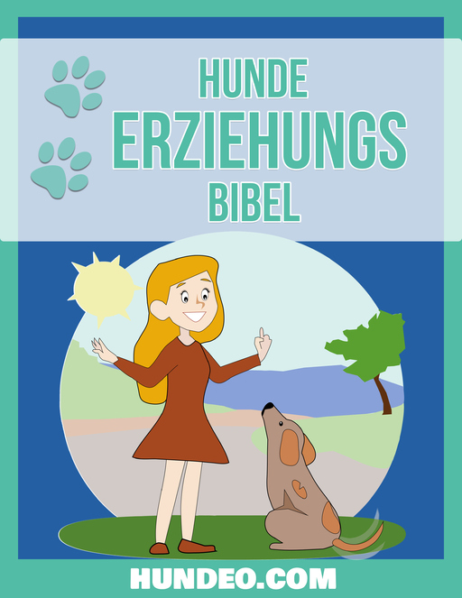 Boecker, Anja - Boecker, Anja - Hunde Erziehungs Bibel