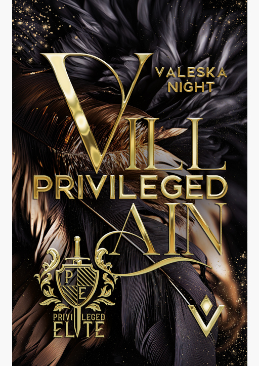 Night, Valeska - Privileged Villain (Band 1)