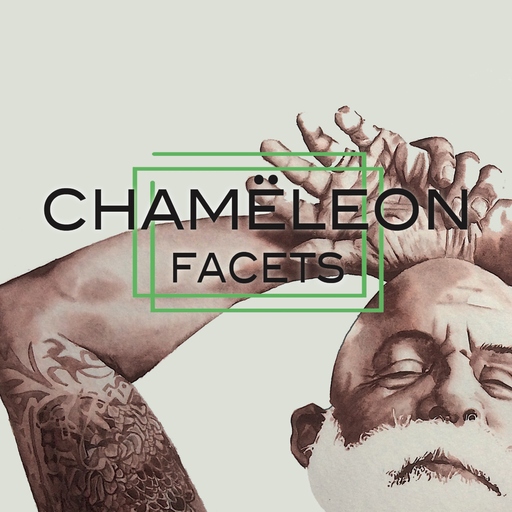 Chameleon - Chameleon - Facets
